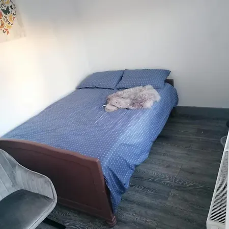 Pensiunea Nela Cluj-Napoca