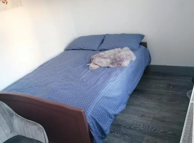 Pensiunea Nela Kluž